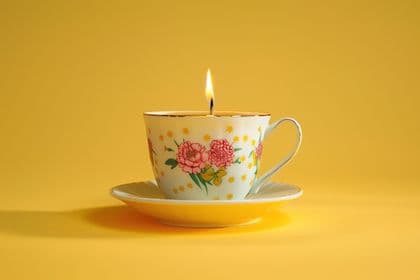 Celebrating One Year of Yorkshire Talent Partners on Yorkshire Day!